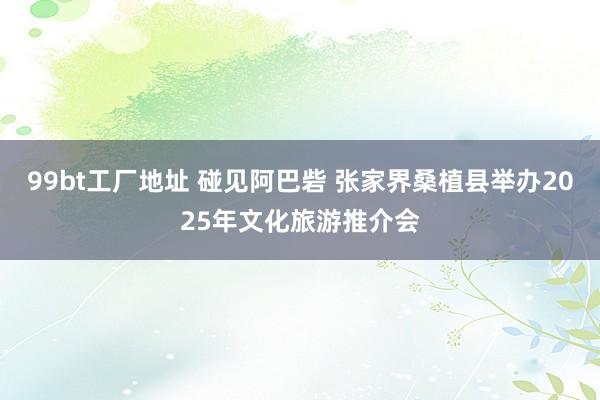 99bt工厂地址 碰见阿巴砦 张家界桑植县举办2025年文化旅游推介会