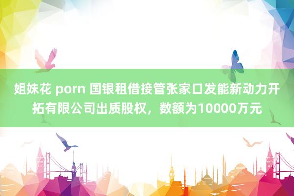 姐妹花 porn 国银租借接管张家口发能新动力开拓有限公司出质股权，数额为10000万元