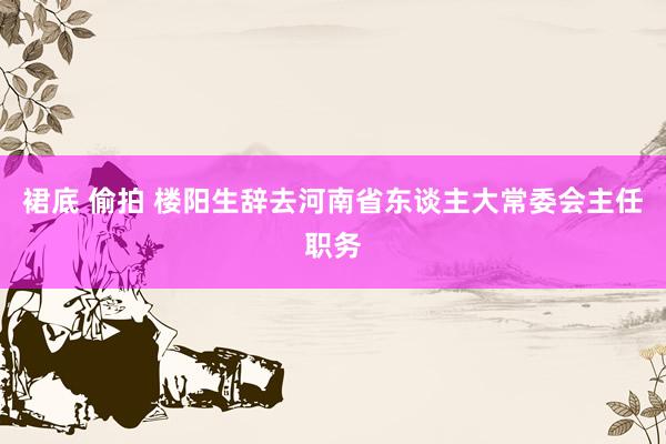 裙底 偷拍 楼阳生辞去河南省东谈主大常委会主任职务