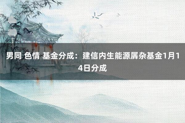 男同 色情 基金分成：建信内生能源羼杂基金1月14日分成