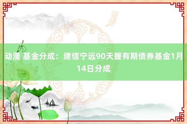 动漫 基金分成：建信宁远90天握有期债券基金1月14日分成