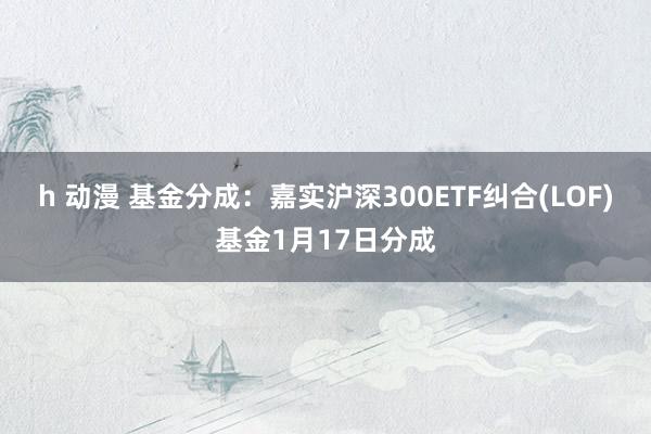 h 动漫 基金分成：嘉实沪深300ETF纠合(LOF)基金1月17日分成