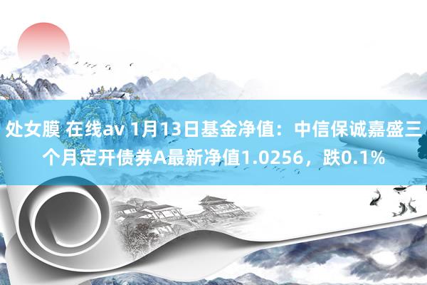 处女膜 在线av 1月13日基金净值：中信保诚嘉盛三个月定开债券A最新净值1.0256，跌0.1%