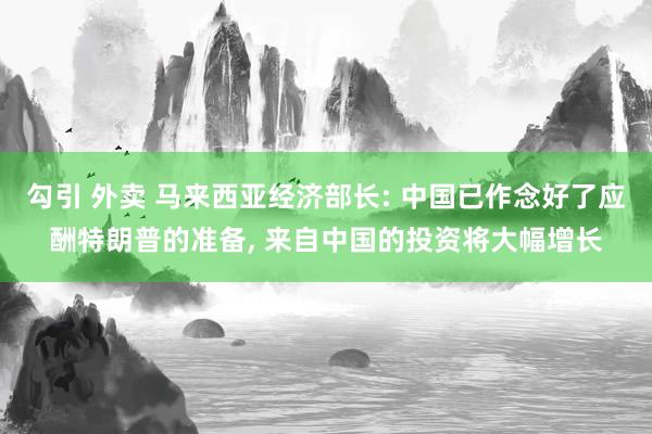 勾引 外卖 马来西亚经济部长: 中国已作念好了应酬特朗普的准备， 来自中国的投资将大幅增长