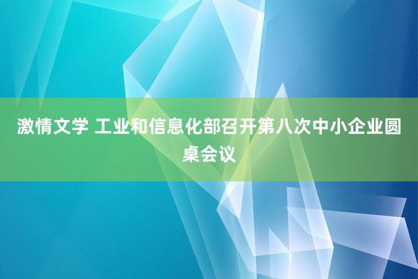 激情文学 工业和信息化部召开第八次中小企业圆桌会议