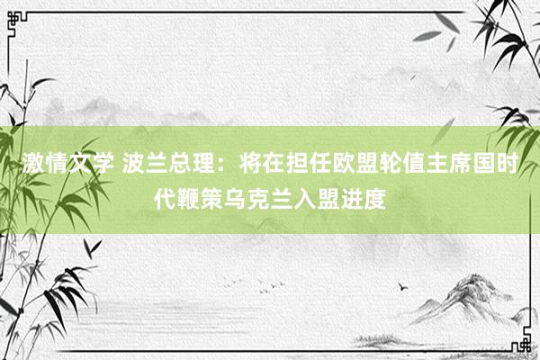 激情文学 波兰总理：将在担任欧盟轮值主席国时代鞭策乌克兰入盟进度