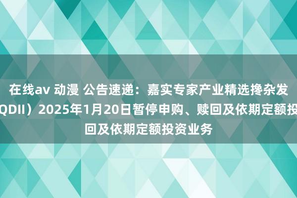 在线av 动漫 公告速递：嘉实专家产业精选搀杂发起式（QDII）2025年1月20日暂停申购、赎回及依期定额投资业务