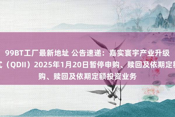 99BT工厂最新地址 公告速递：嘉实寰宇产业升级股票发起式（QDII）2025年1月20日暂停申购、赎回及依期定额投资业务