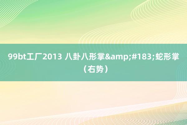 99bt工厂2013 八卦八形掌&#183;蛇形掌（右势）