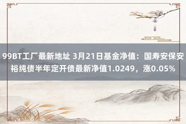 99BT工厂最新地址 3月21日基金净值：国寿安保安裕纯债半年定开债最新净值1.0249，涨0.05%