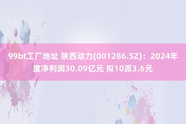 99bt工厂地址 陕西动力(001286.SZ)：2024年度净利润30.09亿元 拟10派3.6元