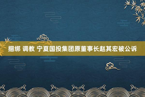 捆绑 调教 宁夏国投集团原董事长赵其宏被公诉